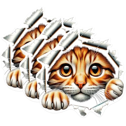 (3 Pack) Ginger Cat Decals - Peeking Kitten Sticker - Laptop Decal - 3 Inches On Longest Side - Easy Peel & Apply - Made in USA - 3MCS0933