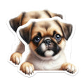 (2 Pack) Pekingese Puppy Magnets - Cute Dog Art - Adorable Pekingese Decor - 5" On Longest Side - Premium Magnet - for Cars, Refrigerators, Toolboxes, Lockers - Made in USA - MAG14131