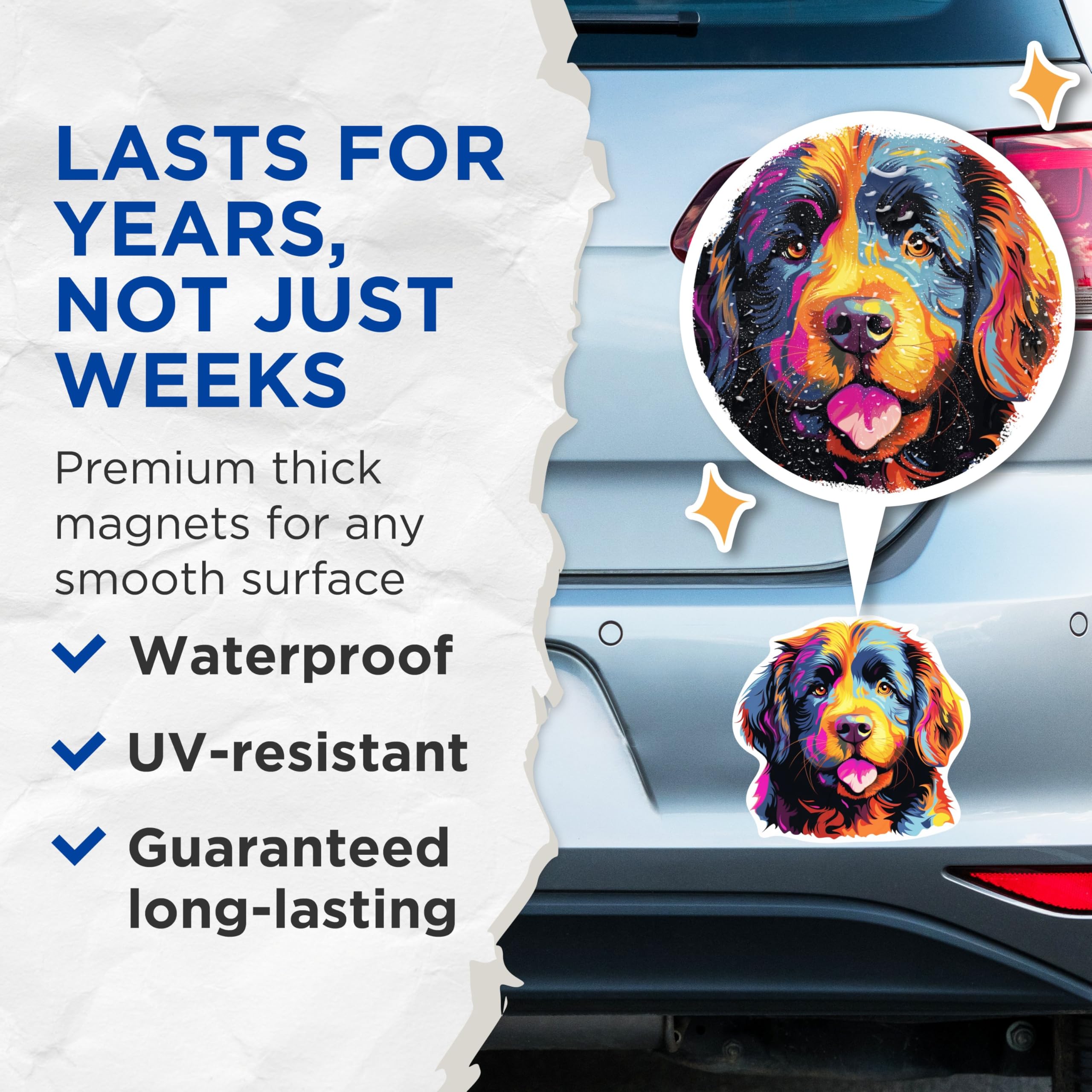 (2 Pack) Newfoundland Dog Breed Magnets - 5 Inches On Longest Side - Choose from Over 100 Dog Breeds - for Cars, Refrigerators, Toolboxes - Made in USA - MAG1905