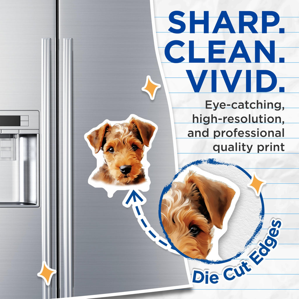 (2 Pack) Welsh Terrier Puppy Magnets - Dog Lover Decor - Dog Mom Dad Accessory - 5 Inches On Longest Side - Thick Durable Magnet - Made in USA - MAG25347