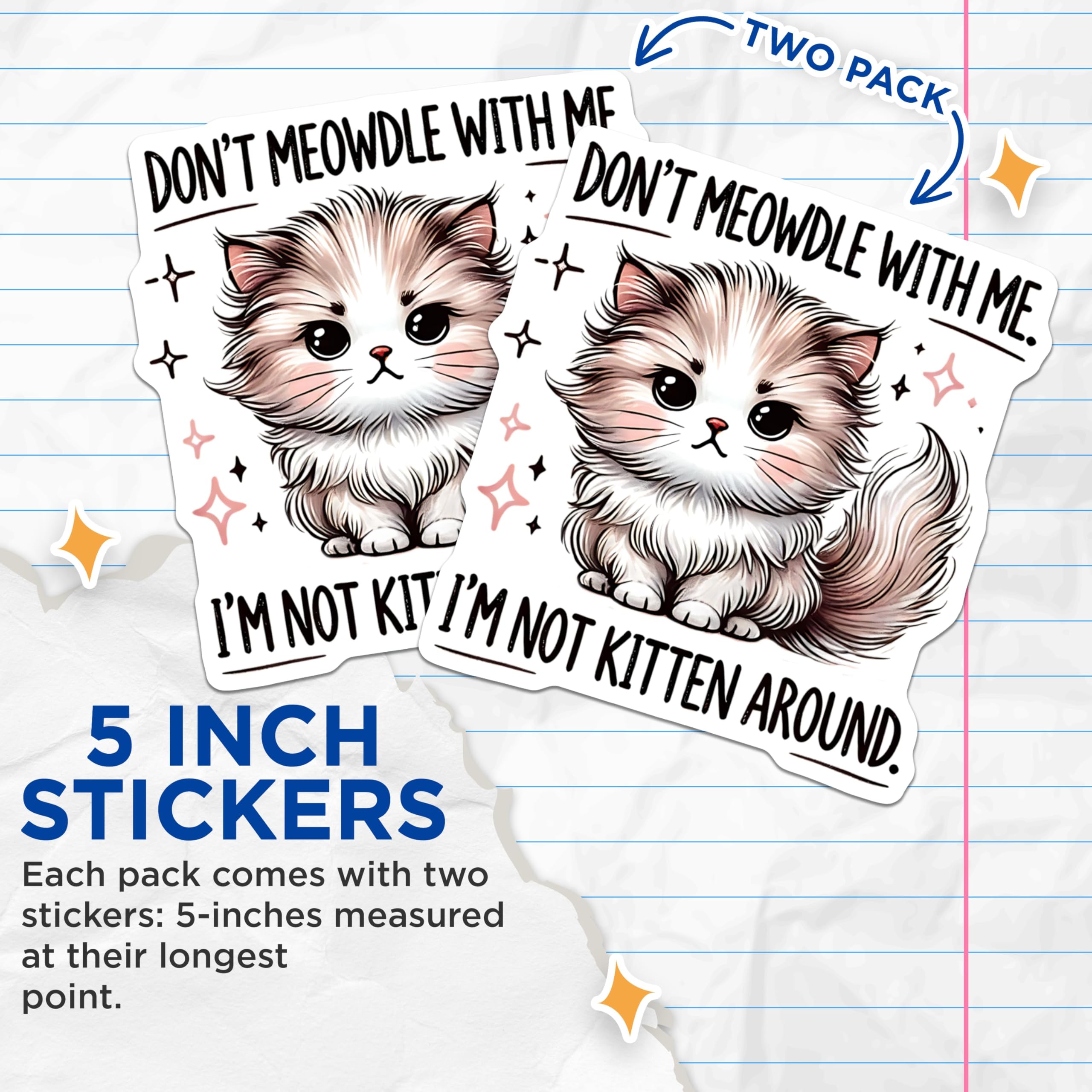 (2 Pack) Funny Cat Stickers - Sassy Cat Meme - I'm Not Kitten Around - 5" On Longest Side - Sticks to Smooth Flat Surfaces - Made in USA - BMCS15475