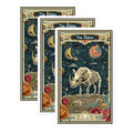 (3 Pack) Rhino Skeleton Decals - Celestial Space - Animal Skeleton Decals - 3 Inches On Longest Side - Easy Peel & Apply - Made in USA - 3MCS2450