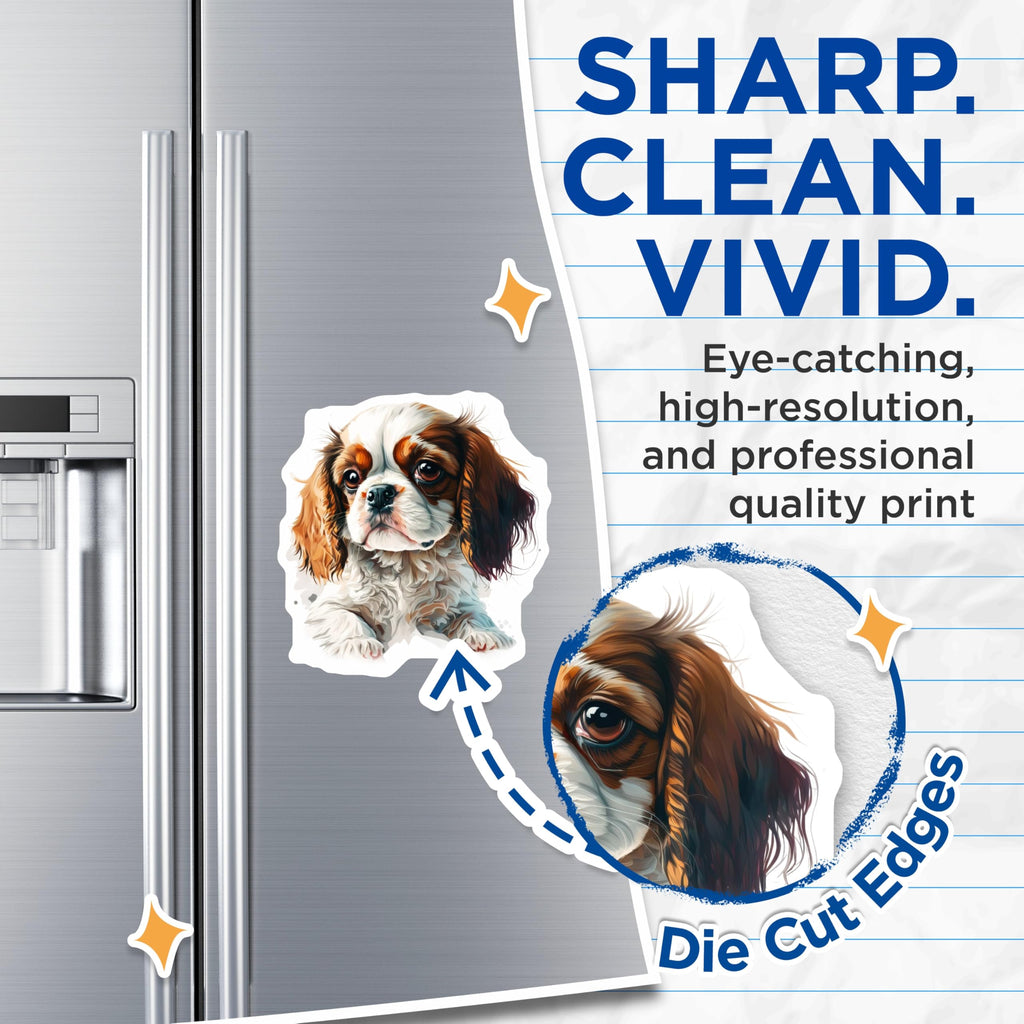 (2 Pack) Cavalier King Charles Magnets - Cute Puppy Blenheim Art - Pet Owner Refrigerator Decor - 5 Inches On Longest Side - Thick Durable Magnet - Made in USA - MAG30971