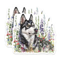 (2 Pack) Husky Dog Magnets - Floral Dog Decor - Cute Husky Art Prints - 5" On Longest Side - for Cars, Fridges, Toolboxes - Made in USA - MAG7077