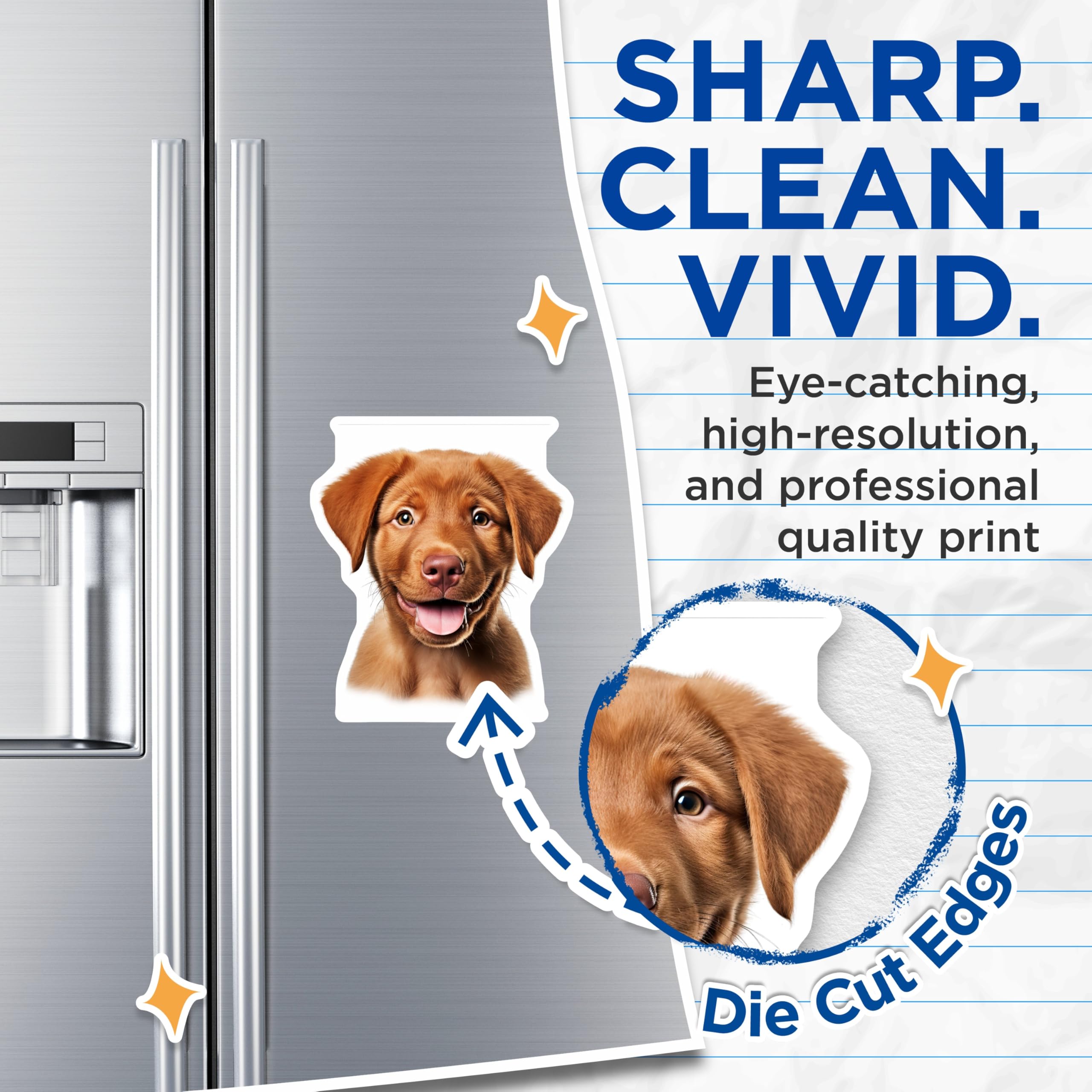 (2 Pack) Cute Puppy Magnets - Happy Dog Lover Decor - Labrador Retriever Pet Owner Display - 5 Inches On Longest Side - Thick Durable Magnet - Made in USA - MAG29806