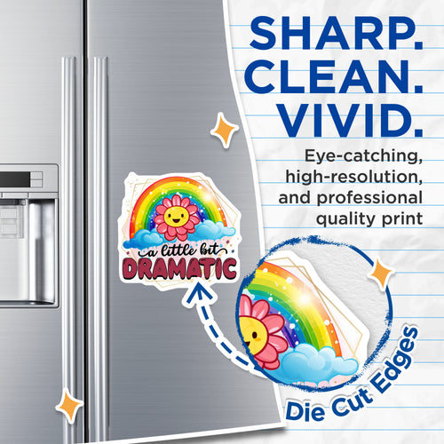 (2 Pack) A Little Bit Dramatic Magnets - Funny Sassy Quote Decor - Rainbow Flower Kitchen Office - 5 Inches On Longest Side - Thick Durable Magnet - Made in USA - MAG38079