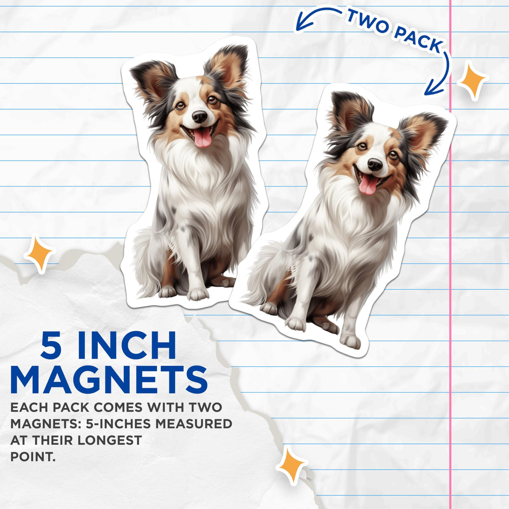 (2 Pack) Fluffy Dog Magnets - Happy Australian Shepherd Collie - Pet Lover Home Decor - 5 Inches On Longest Side - Thick Durable Magnet - Made in USA - MAG30327