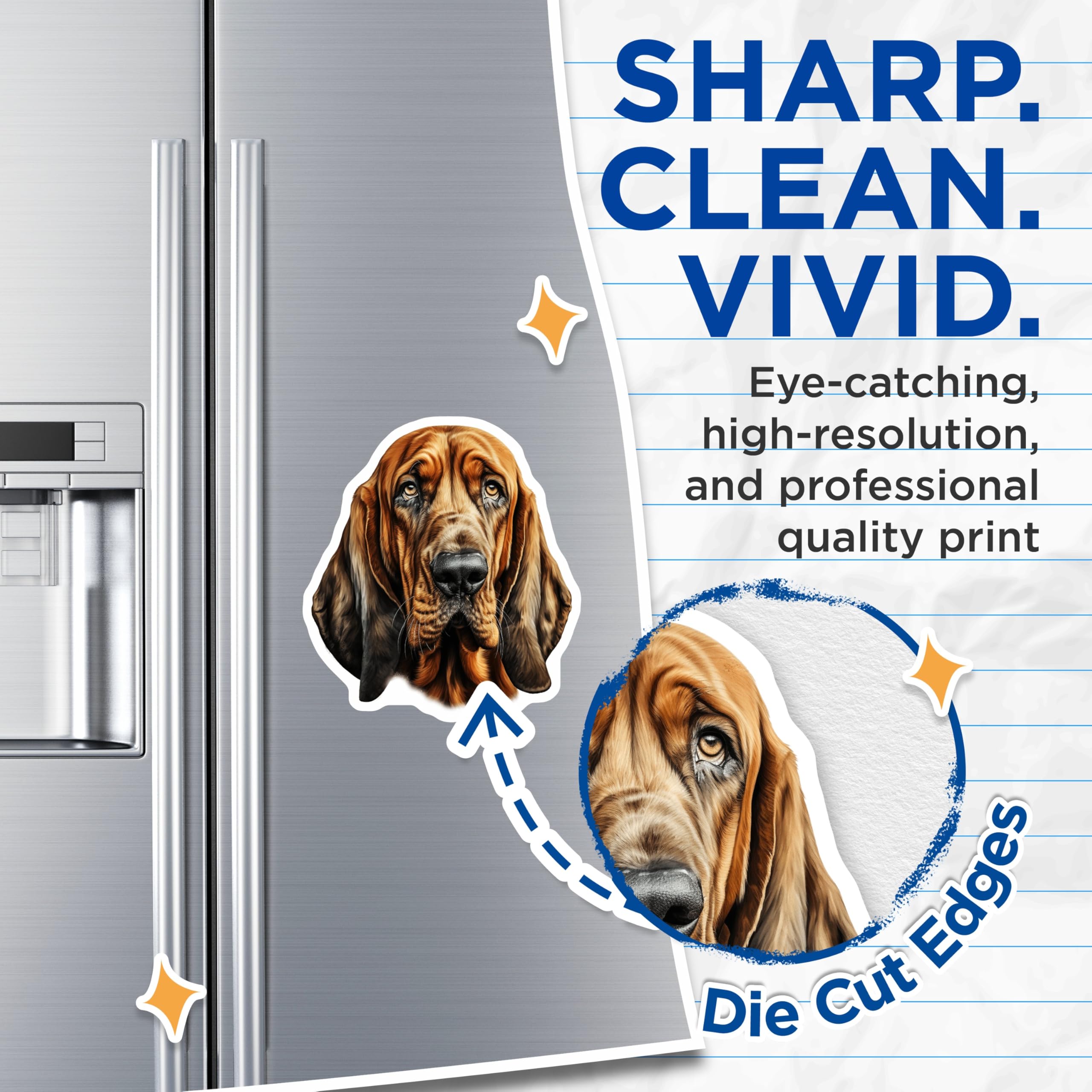 (2 Pack) Bloodhound Dog Magnets - Pet Lover Breed Art - Canine Enthusiast Decor for Fridge Locker - 5 Inches On Longest Side - Thick Durable Magnet - Made in USA - MAG28024