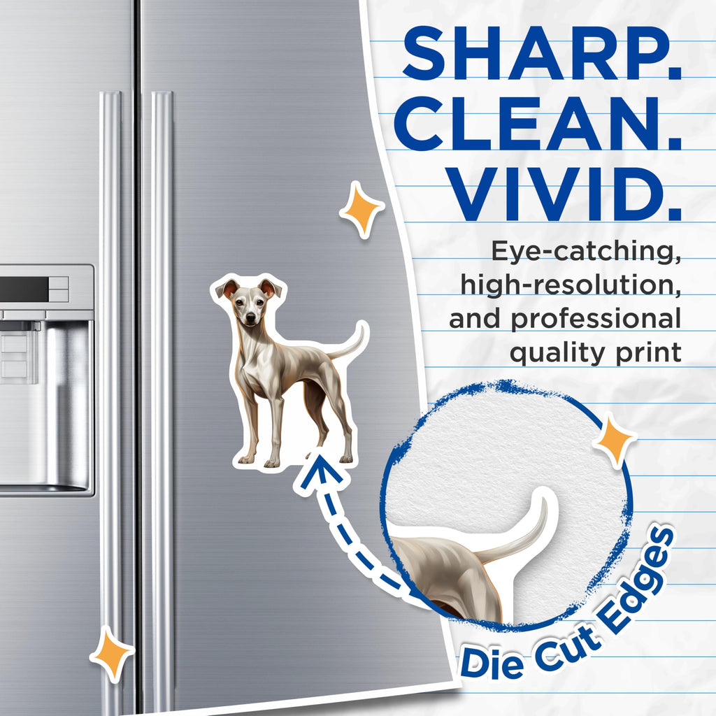 (2 Pack) Italian Greyhound Magnets - Dog Owner Decor - Pet Art Collection - 5 Inches On Longest Side - Thick Durable Magnet - Made in USA - MAG26833