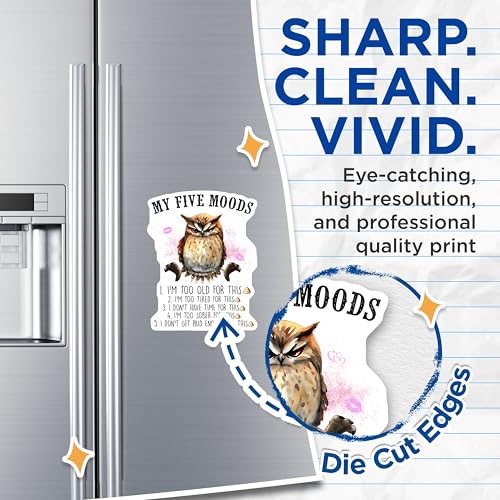 (2 Pack) My Five Moods Magnets - Funny Owl Moods - Humorous Office Decor - Motivational Quotes - Creative Animal Art - 5" On Longest Side - for Cars, Fridges, Toolboxes - Made in USA - MAG7733