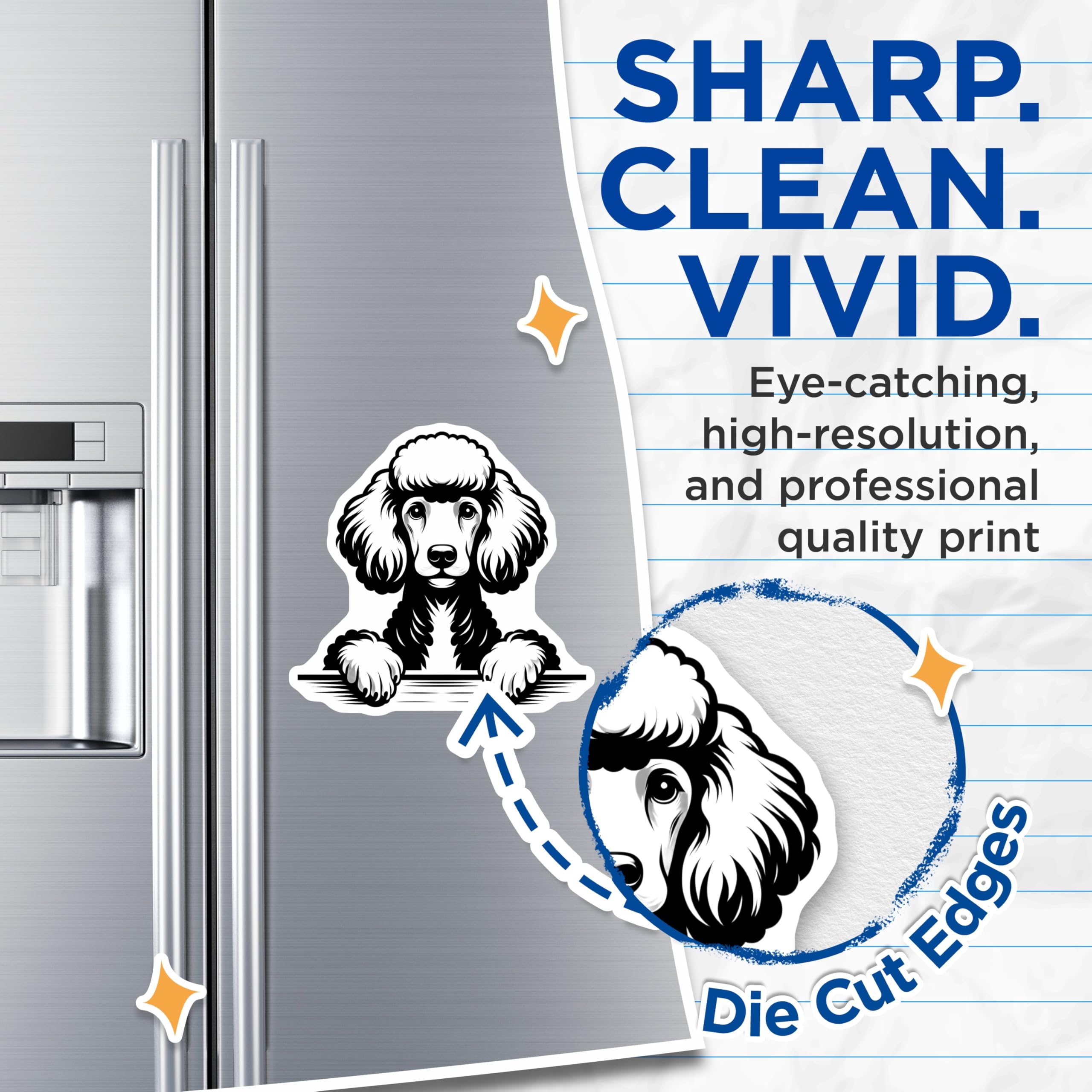 (2 Pack) Poodle Dog Magnets - Cute Puppy Breed - Refrigerator Decor - 5" On Longest Side - Premium Magnet - for Cars, Refrigerators, Toolboxes, Lockers - Made in USA - MAG14099