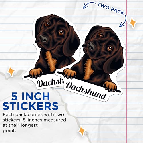 (2 Pack) Dachshund Dog Stickers - Cute Pet Stickers - Dog Lover Stickers - 5" On Longest Side - Sticks to Smooth Flat Surfaces - Made in USA - BMCS4217