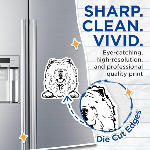 (2 Pack) Fluffy Dog Magnets - Cute Animal Magnets - Home Magnets - Refrigerator Magnets - Cute Fridge Magnet - 5" On Longest Side - for Cars, Fridges, Toolboxes - Made in USA - MAG4036