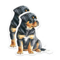 (2 Pack) Rottweiler Puppy Magnets - Cute Dog Lovers - Fridge Locker Decoration - 5" On Longest Side - Premium Magnet - for Cars, Refrigerators, Toolboxes, Lockers - Made in USA - MAG14215