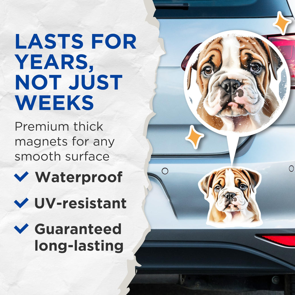(2 Pack) English Bulldog Puppy Magnets - Cute Dog Decor - Pet Lover Accessory - Animal Owner Collectible - 5 Inches On Longest Side - Thick Durable Magnet - Made in USA - MAG25655
