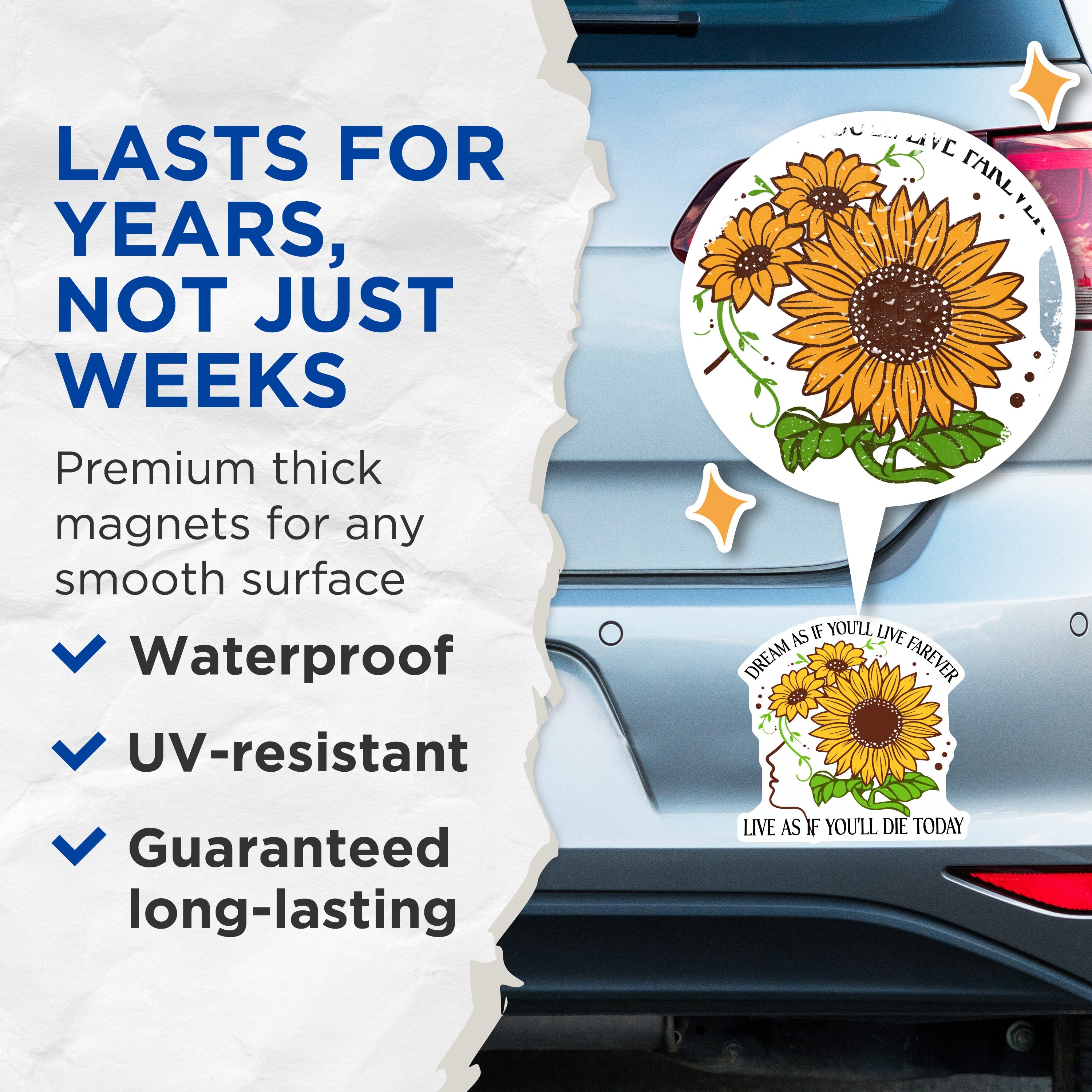 (2 Pack) Sunflower Quote Magnets - Dream Live Forever Today - Motivational Refrigerator Decor - 5 Inches On Longest Side - Thick Durable Magnet - Made in USA - MAG37918
