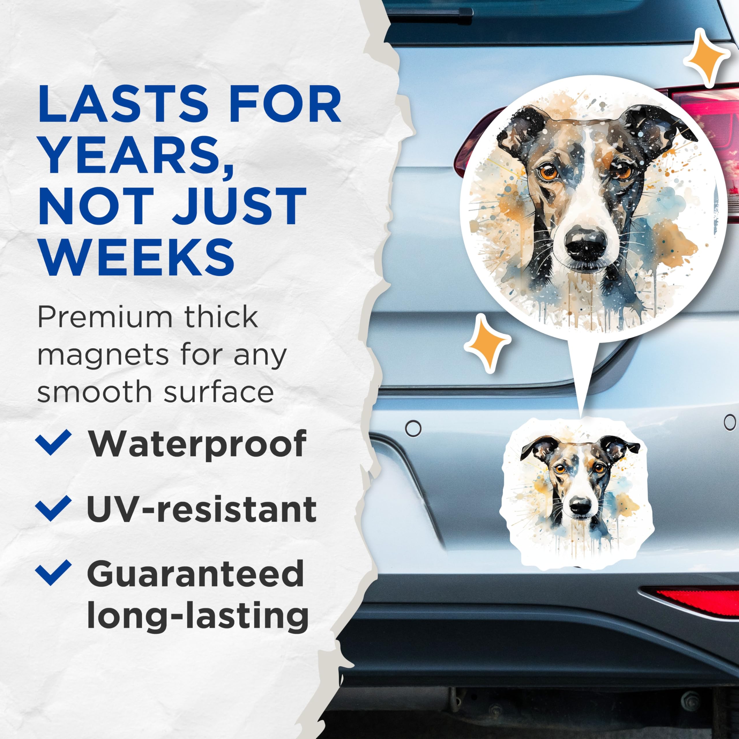 (2 Pack) Watercolor Sighthound Magnets - Dog Lover Pet Art - Artistic Animal Fridge Decor - 5 Inches On Longest Side - Thick Durable Magnet - Made in USA - MAG26565