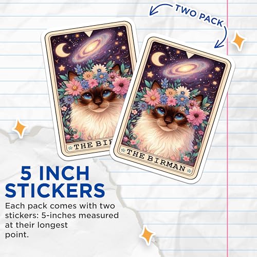 (2 Pack) Cat Stickers - Floral Stickers - Astral Stickers - Cute Pet Stickers - Space Art Stickers - Galaxy Stickers - 5" On Longest Side - Sticks to Smooth Flat Surfaces - Made in USA - BMCS4780