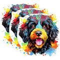(3 Pack) Bernedoodle Decals - Colorful Dog Sticker - Laptop Decals - 3 Inches On Longest Side - Easy Peel & Apply - Made in USA - 3MCS0799