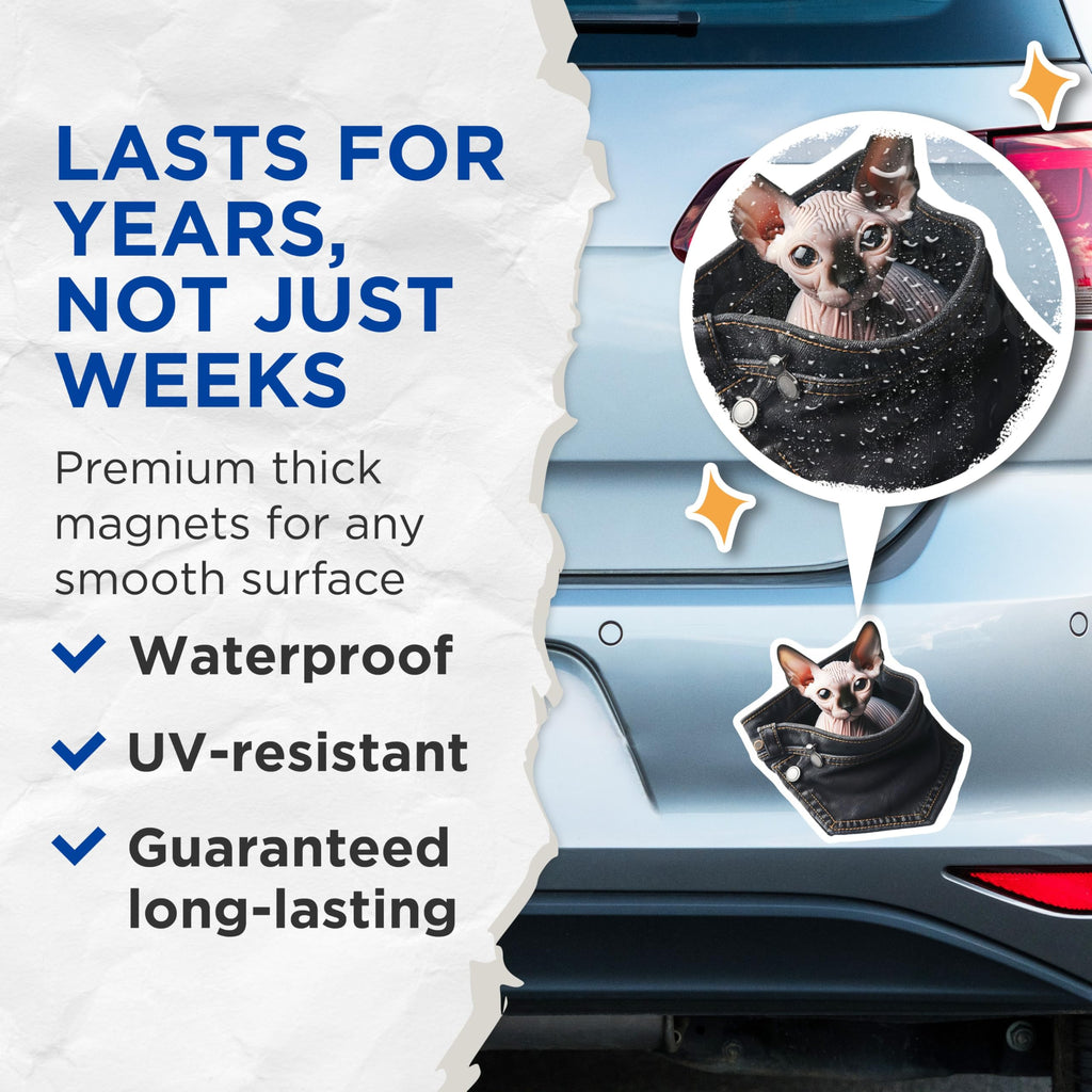 (2 Pack) Sphynx Cat Magnets - Pocket Cat Art - Unique Fridge Magnets - 5" On Longest Side - Premium Magnet - for Cars, Refrigerators, Toolboxes, Lockers - Made in USA - MAG16068
