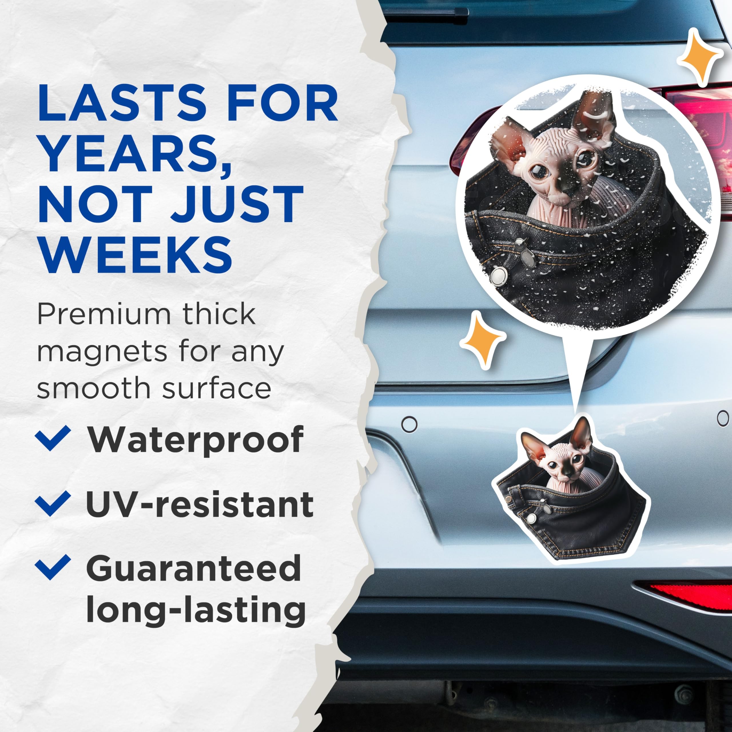 (2 Pack) Sphynx Cat Magnets - Pocket Cat Art - Unique Fridge Magnets - 5" On Longest Side - Premium Magnet - for Cars, Refrigerators, Toolboxes, Lockers - Made in USA - MAG16068