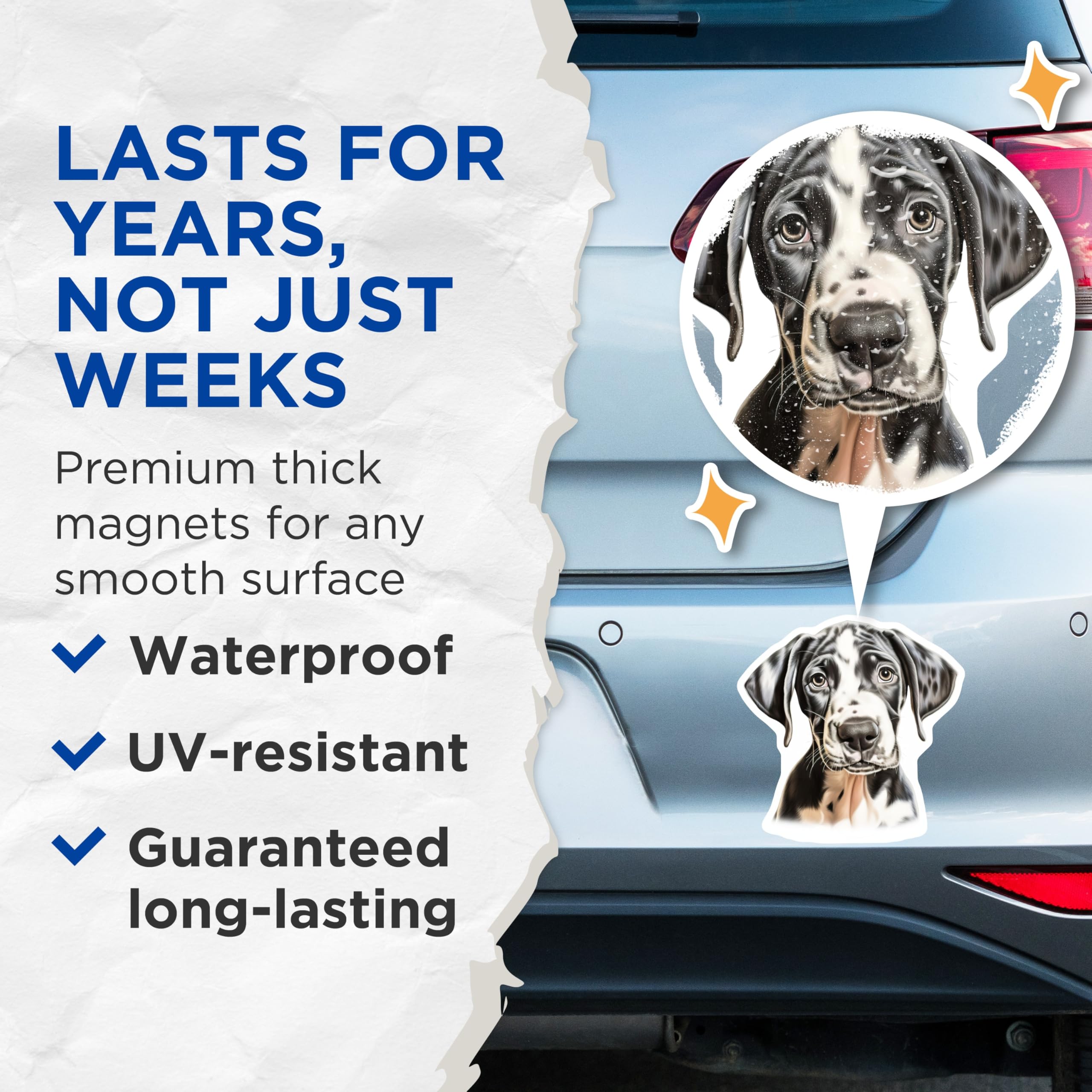 (2 Pack) Great Dane Puppy Magnets - Harlequin Dog Art Decor - Dog Mom Pet Owner Refrigerator Accessories - 5 Inches On Longest Side - Thick Durable Magnet - Made in USA - MAG25126