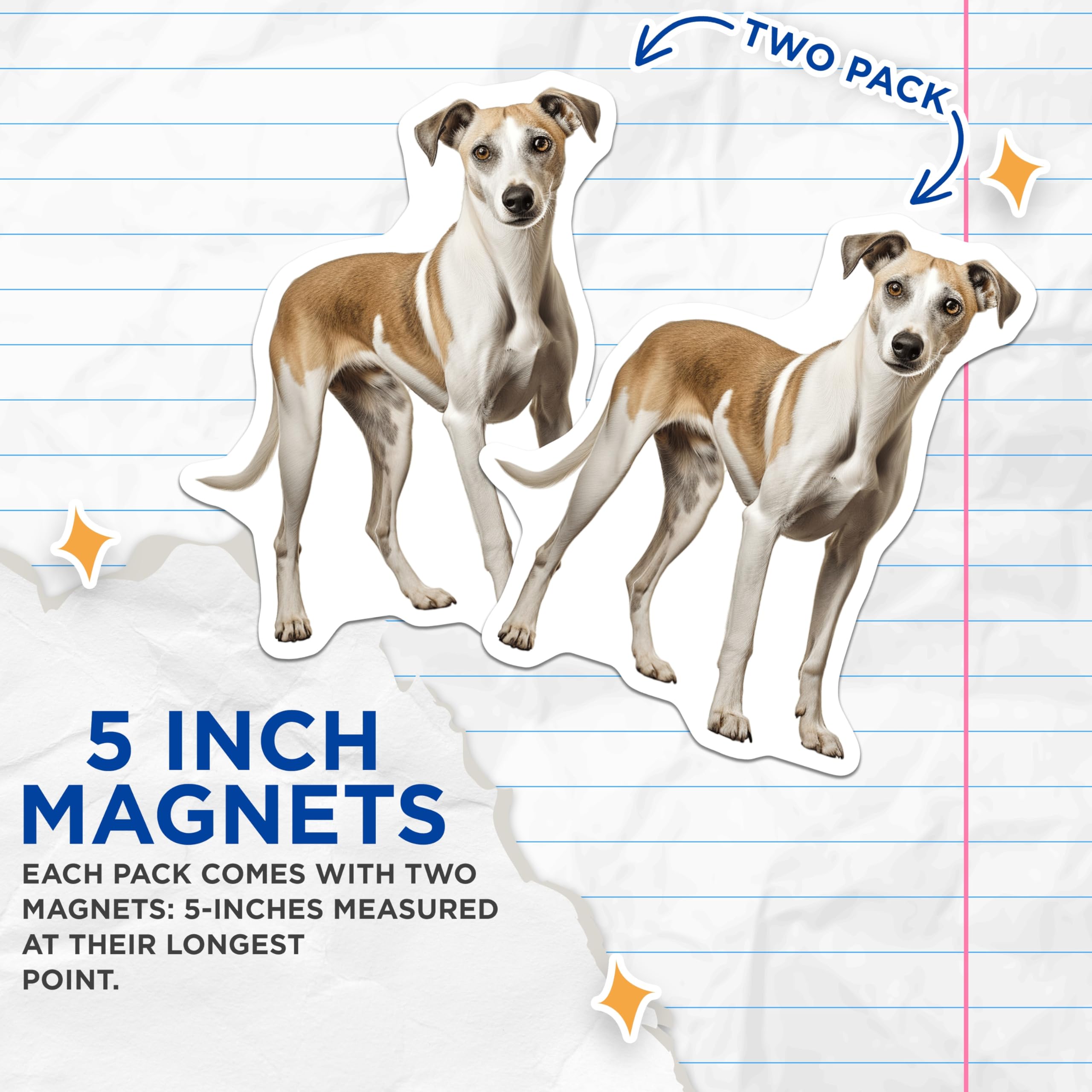 (2 Pack) Whippet Dog Magnets - Sighthound Fridge Decor - Pet Lover Animal Art - 5 Inches On Longest Side - Thick Durable Magnet - Made in USA - MAG28965