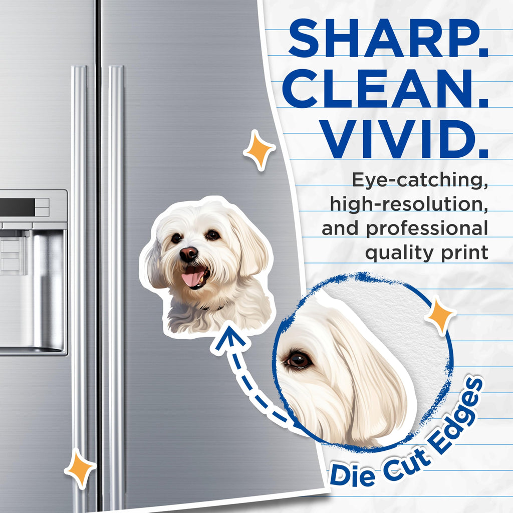 (2 Pack) Maltese Dog Magnets - Happy Fluffy White Puppy Fridge Refrigerator Magnets - Dog Mom Kitchen Locker Decor - 5 Inches On Longest Side - Thick Durable Magnet - Made in USA - MAG29594