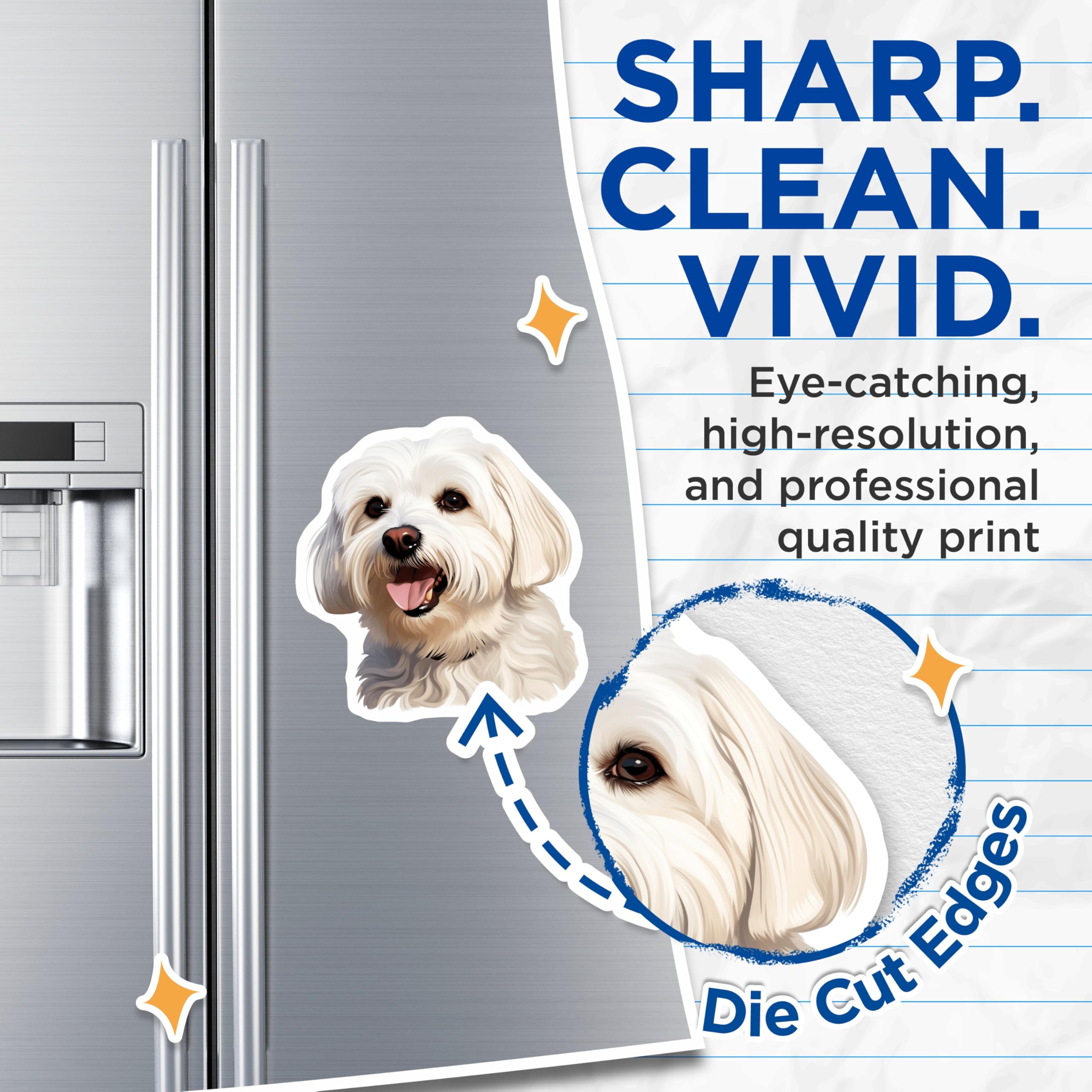 (2 Pack) Maltese Dog Magnets - Happy Fluffy White Puppy Fridge Refrigerator Magnets - Dog Mom Kitchen Locker Decor - 5 Inches On Longest Side - Thick Durable Magnet - Made in USA - MAG29594