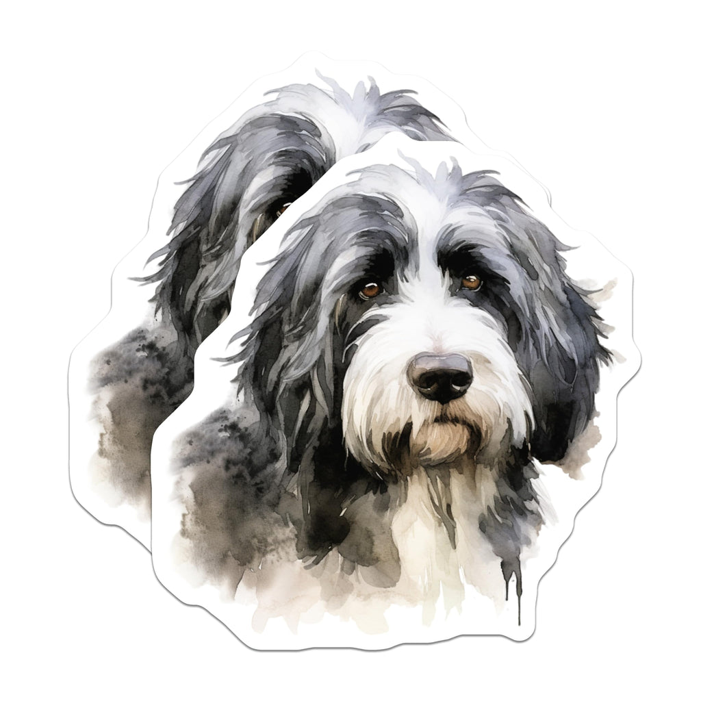 (2 Pack) Bearded Collie Dog Magnets - Detailed Watercolor Canine Portrait Art - Unique Pet Lover Home Refrigerator Magnets - 5 Inches On Longest Side - Thick Durable Magnet - Made in USA - MAG24221