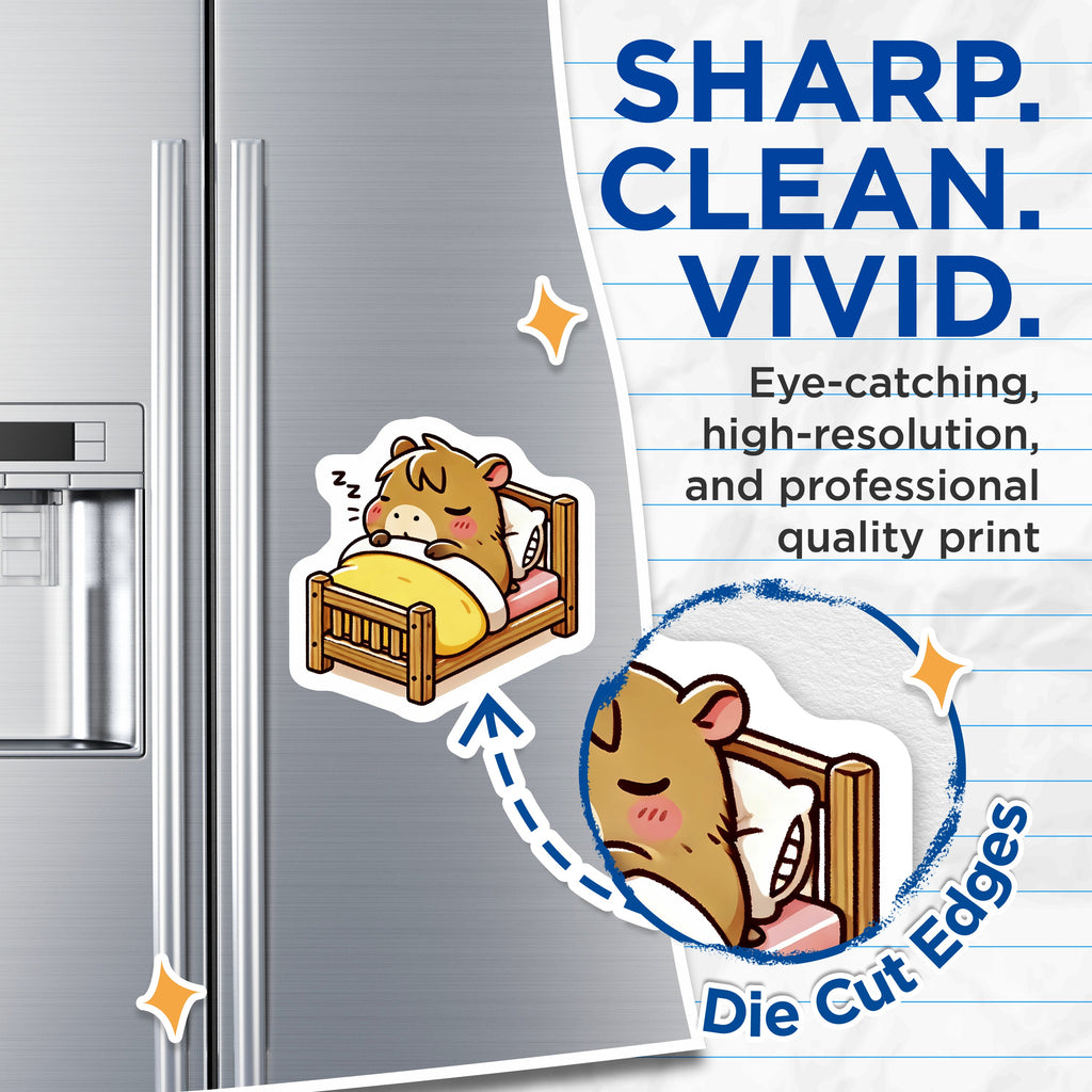 (2 Pack) Sleeping Hamster Magnets - Cute Bear Cub Decor - Kawaii Animal Fridge Art - Cozy Sleepy Kitchen Accessory - 5 Inches On Longest Side - Thick Durable Magnet - Made in USA - MAG36181