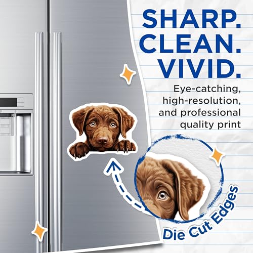 (2 Pack) Dog Lover Decor Magnet - 5" On Longest Side - Sticks to Smooth Flat Surfaces - Made in USA - MAG9928