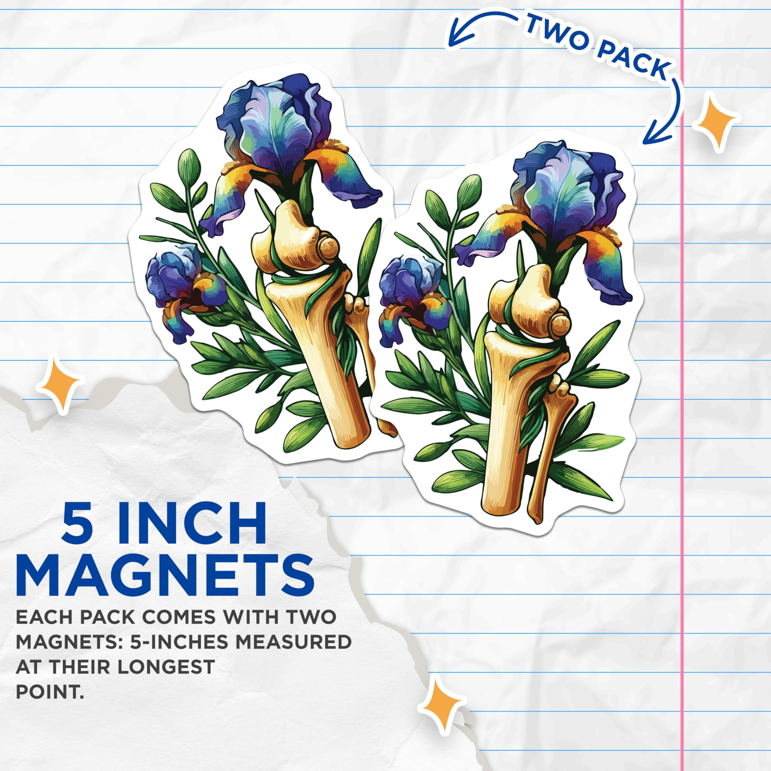 (2 Pack) Anatomical Iris Magnets - Orthopedic Flower Art - Unique Science Decor - 5 Inches On Longest Side - Thick Durable Magnet - Made in USA - MAG19684