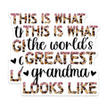 (2 Pack) World's Greatest Grandma Stickers - Leopard Print Grandma - Cute Grandma Quote - 5" On Longest Side - Sticks to Smooth Flat Surfaces - Made in USA - BMCS5743