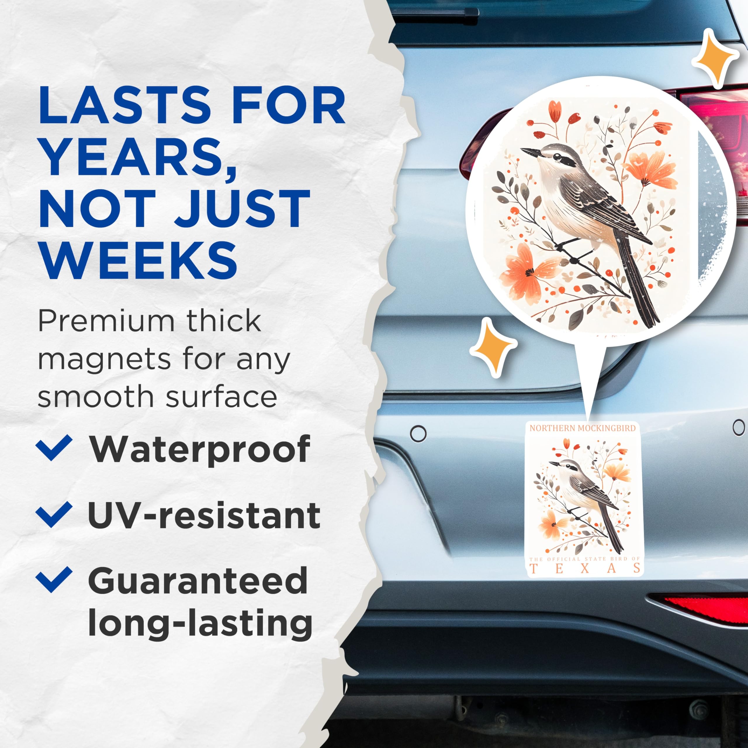 (2 Pack) Mockingbird Magnets - Texas State Bird - Bird Lover Decor - 5" On Longest Side - Premium Magnet - for Cars, Refrigerators, Toolboxes, Lockers - Made in USA - MAG17708