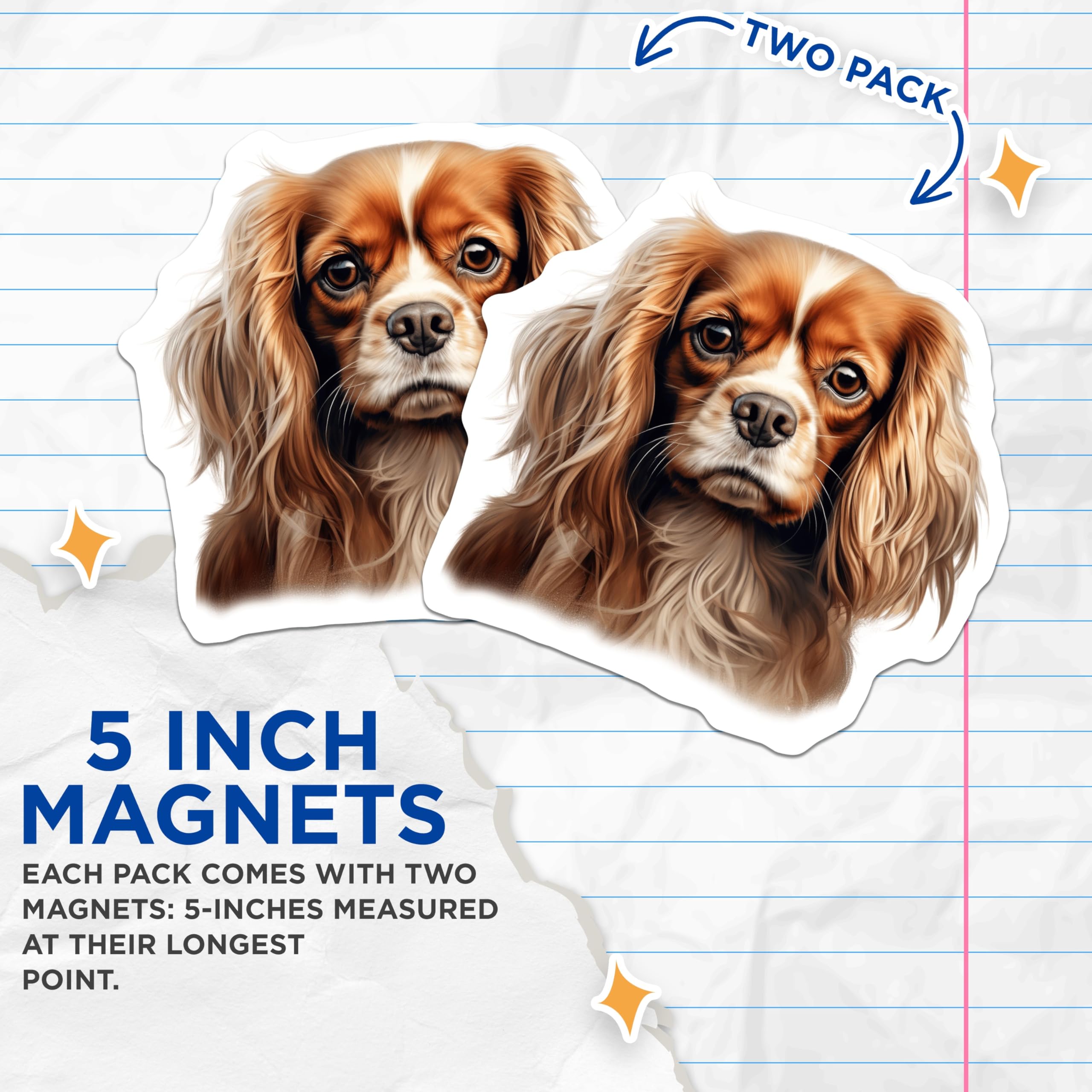 (2 Pack) Cavalier King Charles Spaniel Dog Magnets - Breed Specific - Pet Parent Fridge Decor - 5 Inches On Longest Side - Thick Durable Magnet - Made in USA - MAG29573