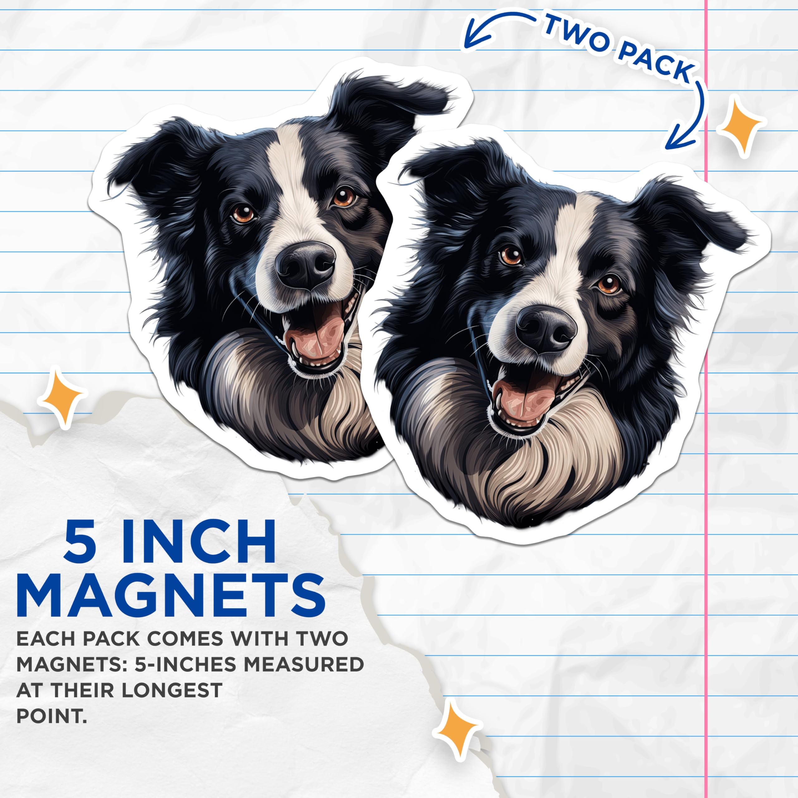 (2 Pack) Border Collie Magnets - Happy Dog Breed Art Decor - Loyal Canine Pet Lover Gift Idea - Refrigerator Home Accessory - 5 Inches On Longest Side - Thick Durable Magnet - Made in USA - MAG24058