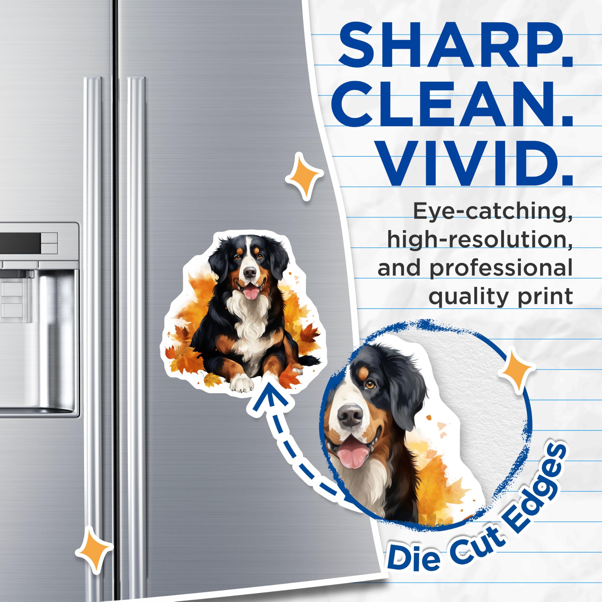 (2 Pack) Bernese Mountain Dog Magnets - Autumn Dog Decor - Fall Pet Lover - Berner Dog Owner Art - Farmhouse Kitchen Accent - 5 Inches On Longest Side - Thick Durable Magnet - Made in USA - MAG26442