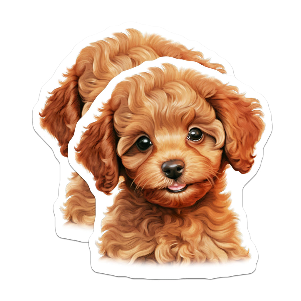 (2 Pack) Poodle Puppy Magnets - Goldendoodle Labradoodle Dog Lover - Cute Animal Fridge Decor - 5 Inches On Longest Side - Thick Durable Magnet - Made in USA - MAG28157