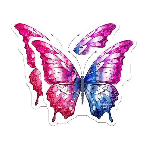 (2 Pack) Butterfly Stickers - Colorful Butterfly Art Decal - Aesthetic Wall Butterfly Stickers - 5" On Longest Side - Sticks to Smooth Flat Surfaces - Made in USA - BMCS7000