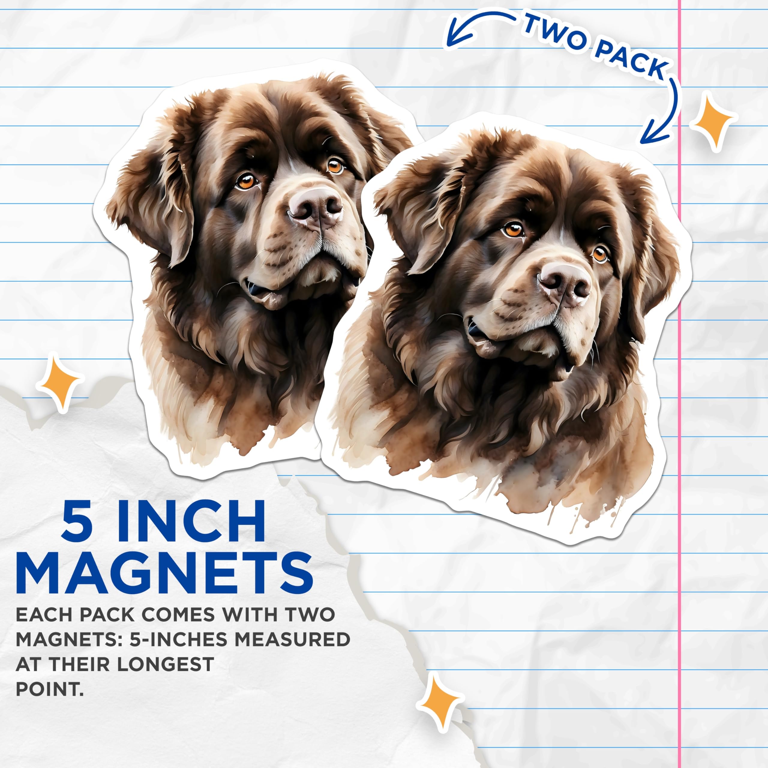 (2 Pack) Newfoundland Dog Magnets - Brown Newfie Portrait - Fridge Magnets - 5" On Longest Side - Premium Magnet - for Cars, Refrigerators, Toolboxes, Lockers - Made in USA - MAG16183