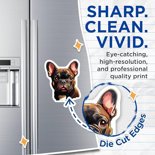 (2 Pack) French Bulldog Magnets - Cute Dog Art - Fridge - Pet Lover's Magnets - 5" On Longest Side - for Cars, Fridges, Toolboxes - Made in USA - MAG3946