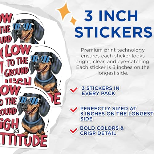 (3 Pack) Dachshund Decals - Funny Dog - Low to The Ground High on Attitude Decals - 3 Inches On Longest Side - Easy Peel & Apply - Made in USA - 3MCS7255