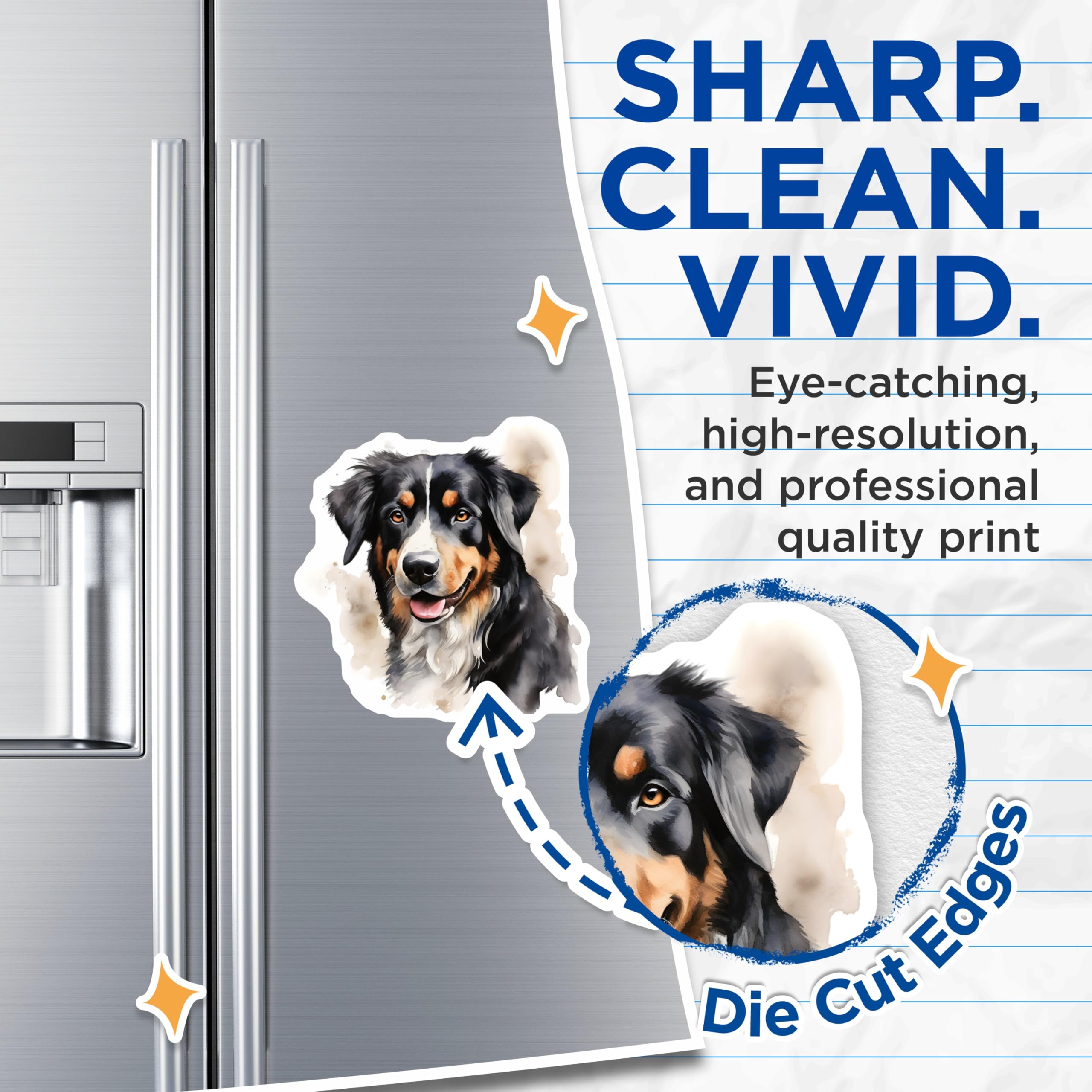 (2 Pack) Bernese Mountain Dog Magnets - Watercolor Dog Art - Dog Lover Decor - 5 Inches On Longest Side - Thick Durable Magnet - Made in USA - MAG27595