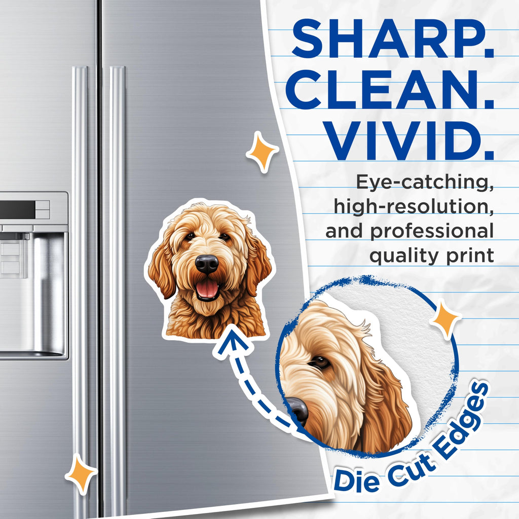 (2 Pack) Goldendoodle Dog Magnets - Dog Lover Kitchen Decor - Pet Parent Refrigerator - 5 Inches On Longest Side - Thick Durable Magnet - Made in USA - MAG26695