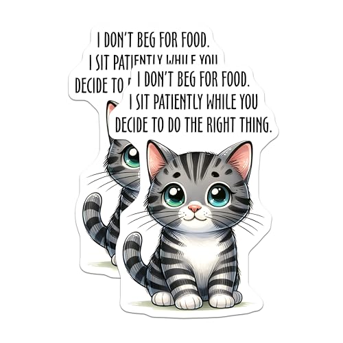 (2 Pack) Funny Cat Stickers - Cute Cat Quotes Stickers - Inspirational Animal Stickers - 5" On Longest Side - Sticks to Any Smooth Flat Surface - Made in USA - BMCS3128