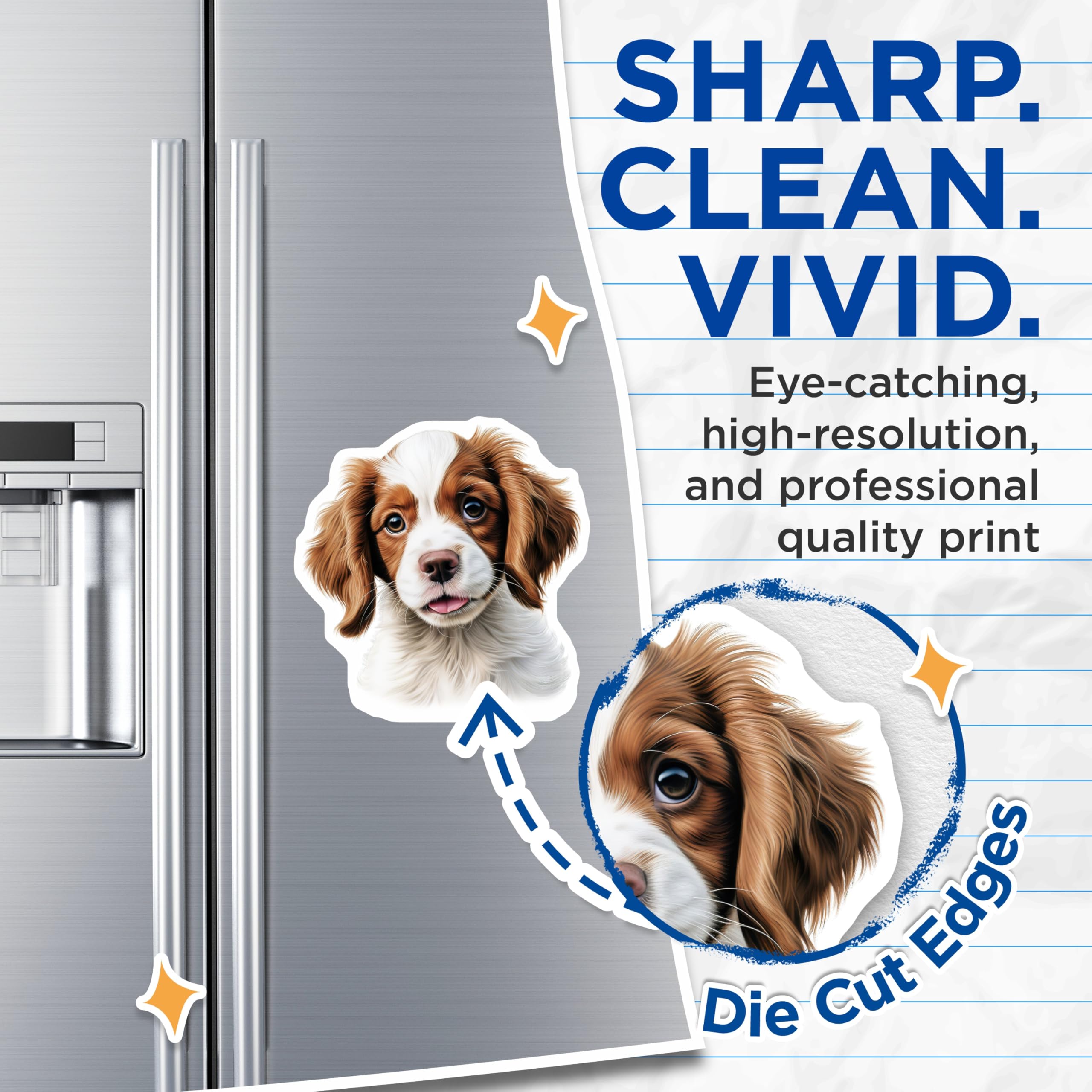 (2 Pack) Brittany Spaniel Puppy Magnets - Adorable Dog Lover Kitchen Decor - Cute Animal Refrigerator Accent - 5 Inches On Longest Side - Thick Durable Magnet - Made in USA - MAG24800