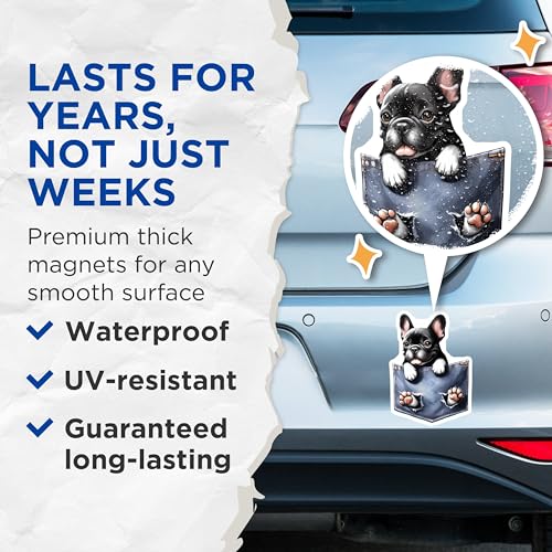 (2 Pack) French Bulldog Magnets - Cute Dog Magnets - Pocket Pet - Animal Lover Home - Dog Lover Magnets - 5" On Longest Side - for Cars, Fridges, Toolboxes - Made in USA - MAG4001