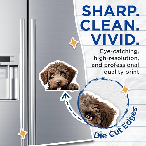 (2 Pack) Animal Lover Decor Magnet - 5" On Longest Side - Sticks to Smooth Flat Surfaces - Made in USA - MAG10285