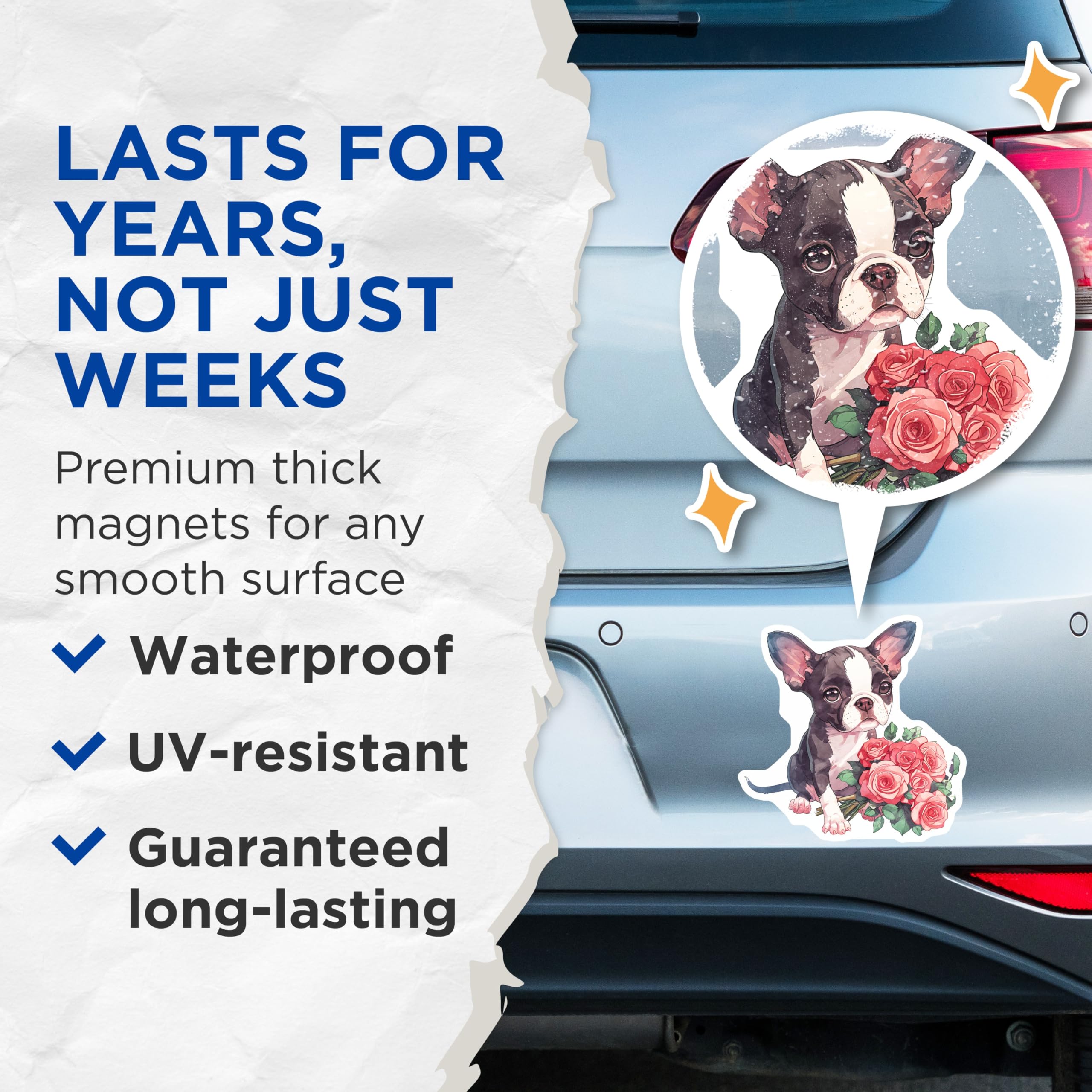 (2 Pack) Boston Terrier Magnets - Dog with Roses - Cute Animal Fridge Magnets - 5" On Longest Side - Premium Magnet - for Cars, Refrigerators, Toolboxes, Lockers - Made in USA - MAG16652